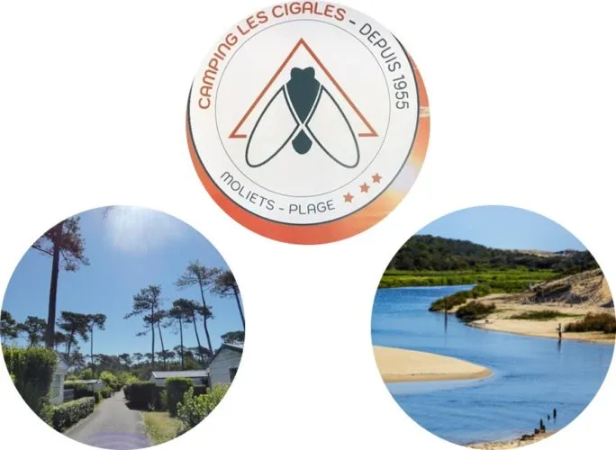 Installation au camping Les Cigales 40 Barbecue collectif du camping Les Cigales dans les Landes