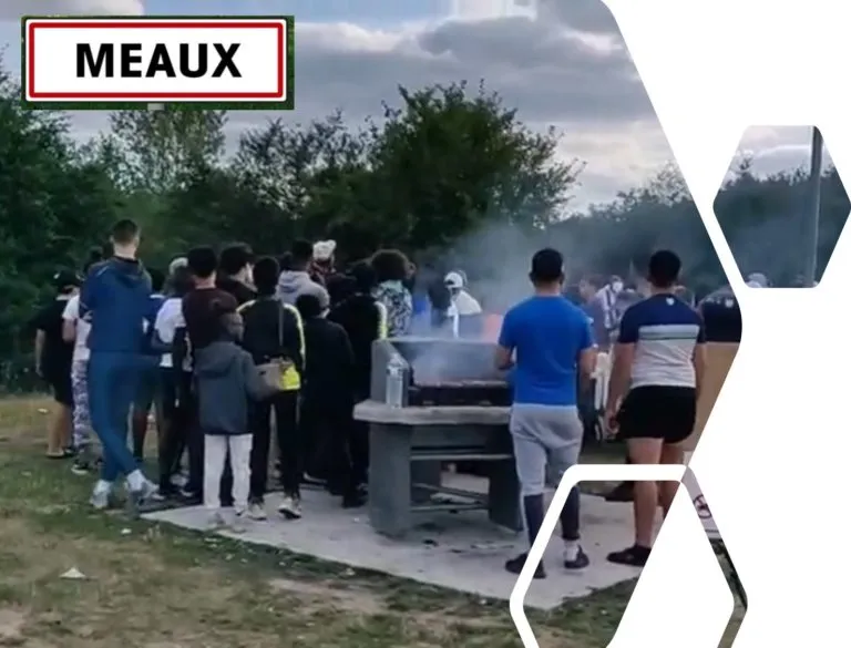 Barbecue collectif à Meaux Utilisateurs réunis autour d’un barbecue collectif à Meaux