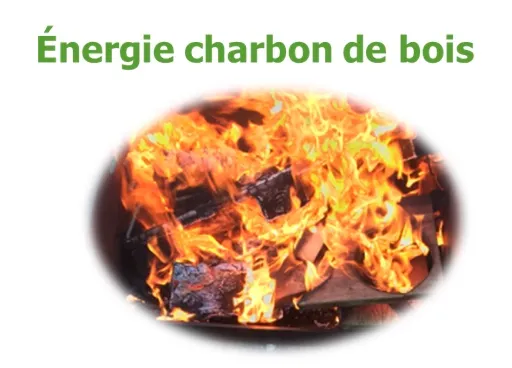 Cuisson au charbon de bois dans un barbecue monofoyer